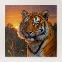 Tigre au coucher du soleil