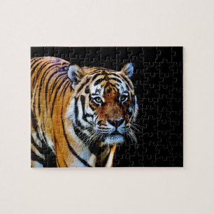 Puzzle Tigre avec l'arrière - plan noir