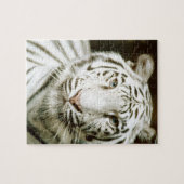 Puzzle Tigre blanc (Horizontal)