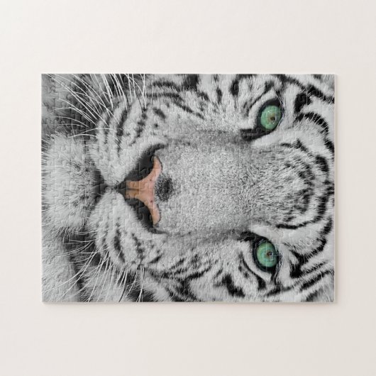 Puzzle Tigre blanc (Horizontal)