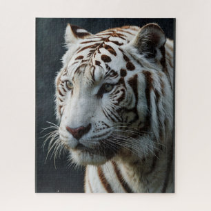 Puzzle Tigre blanc
