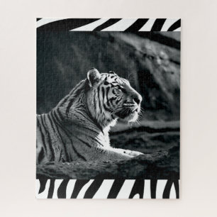 Puzzle Tigre blanc