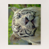 Puzzle Tigre Blanc de Près #2 (Vertical)
