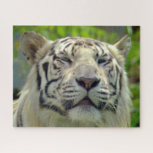 Puzzle Tigre Blanc de Près #2 (Horizontal)