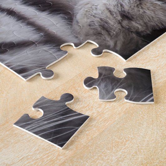 Puzzle Tigre blanc dormant (Côté)