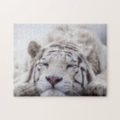 Puzzle Tigre blanc dormant (Horizontal)