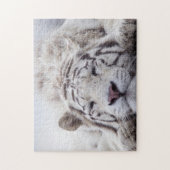 Puzzle Tigre blanc dormant (Vertical)