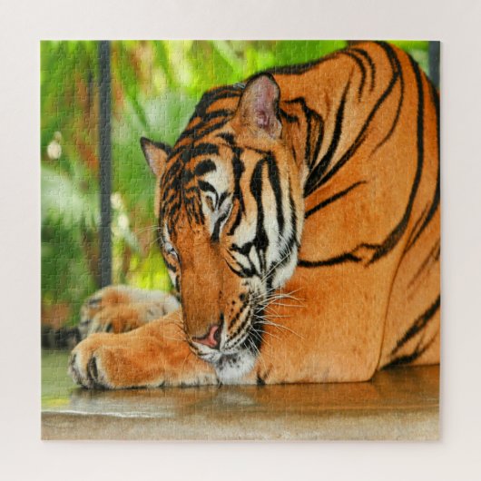 Puzzle Tigre couchant (Vertical)