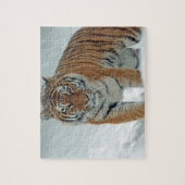 Puzzle Tigre dans la neige (Vertical)