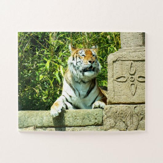 Puzzle Tigre dans le temple (Horizontal)