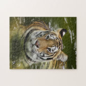 Puzzle Tigre dans l'eau (Horizontal)