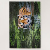 Puzzle Tigre de natation (Vertical)