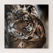 Puzzle Tigre de Ranthambore : gros plan. (Horizontal)
