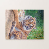 Puzzle Tigre de rappel relaxant (Horizontal)