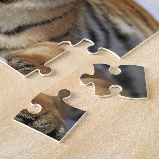 Puzzle Tigre de Sibérie, Panthera tigris altaica, Asie, (Côté)