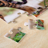 Puzzle Tigre de Sumatra. Grands félins. (Côté)