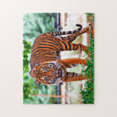 Puzzle Tigre de Sumatran. Grands chats (Vertical)