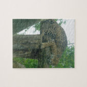 Puzzle Tigre dormant dans l'arbre, la forêt, la nature, l (Horizontal)