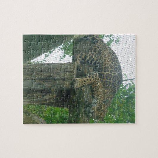 Puzzle Tigre dormant dans l'arbre, la forêt, la nature, l (Horizontal)