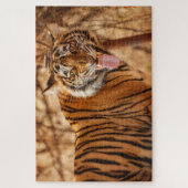 Puzzle Tigre du Bengale (Vertical)