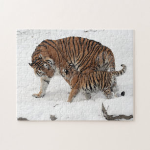 Puzzle Tigre et cub dans la neige