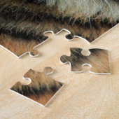 Puzzle Tigre - Face (Côté)