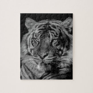 Puzzle Tigre noir et blanc