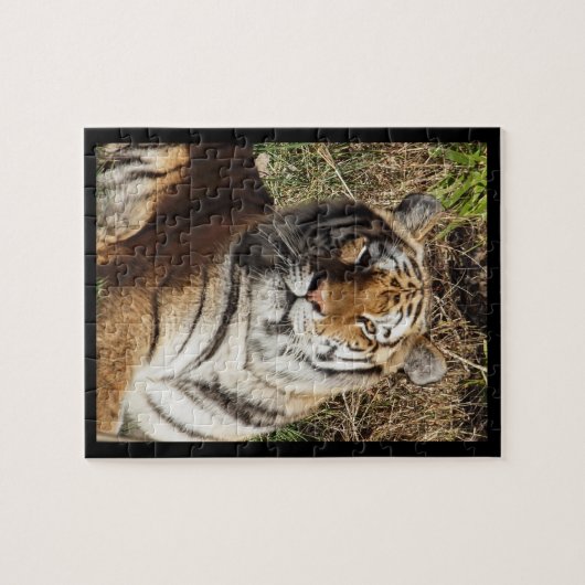 Puzzle Tigre royal (Horizontal)