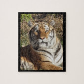 Puzzle Tigre royal (Vertical)