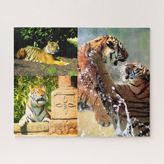 Puzzle Tigres (Horizontal)