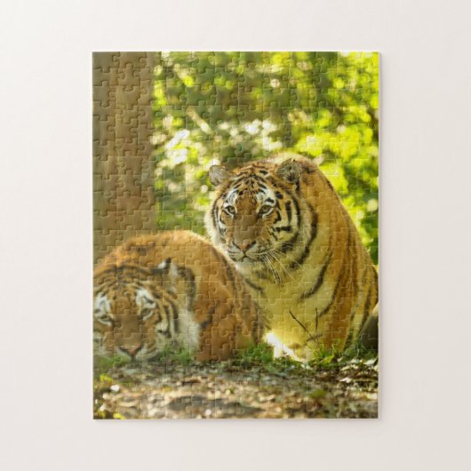 Puzzle Tigres de Sibérie (Vertical)