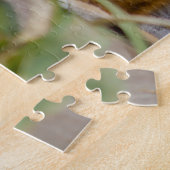 Puzzle Tigres Grands Félins. (Côté)