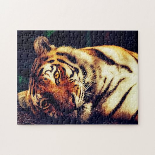 Puzzle Tigres Grands Félins. (Horizontal)