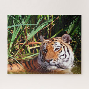 Puzzle Tigres Grands Félins.