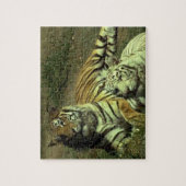 Puzzle Tigres Hommes Et Femmes (Vertical)