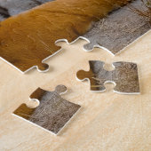 Puzzle Tigres sauvages Pakistan. (Côté)