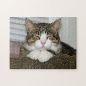 PUZZLE TJ (Horizontal)