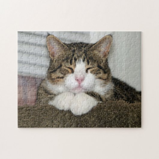 PUZZLE TJ (Horizontal)