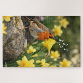 Puzzle Tobin chantant dans un narcisse printanier (Horizontal)