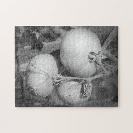 Puzzle Tomates Dans La Nature Noire Et Blanche (Horizontal)