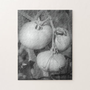 Puzzle Tomates Dans La Nature Noire Et Blanche
