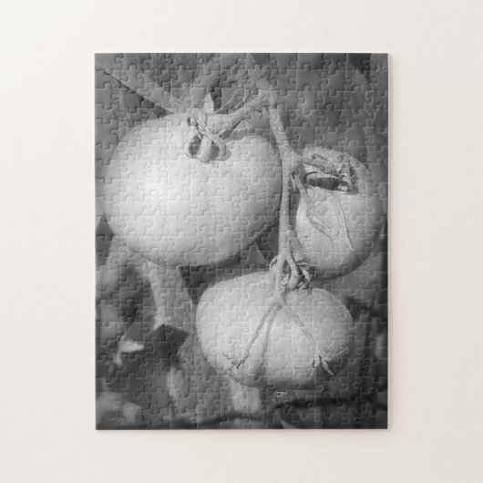 Puzzle Tomates Dans La Nature Noire Et Blanche (Vertical)