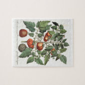 Puzzle Tomates et melons : luteo de fructu des amoris (Horizontal)