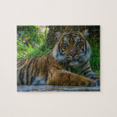 Puzzle Tony (Horizontal)