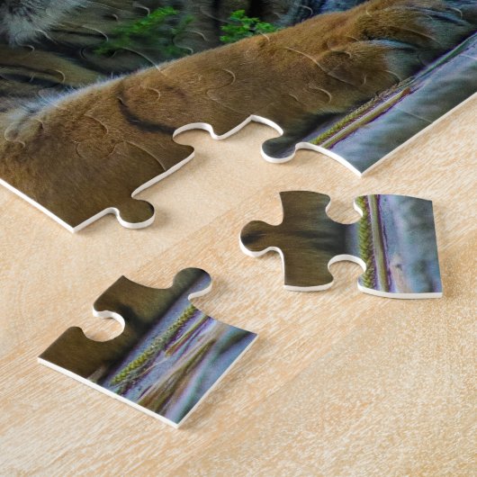 Puzzle Tony (Côté)