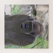 Puzzle toony Gorilla (Horizontal)