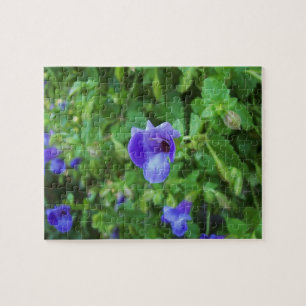 Puzzle Torenia