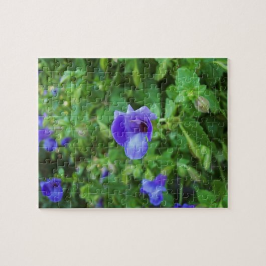 Puzzle Torenia (Horizontal)