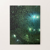 Puzzle Toronto Aquarium Canada. (Vertical)