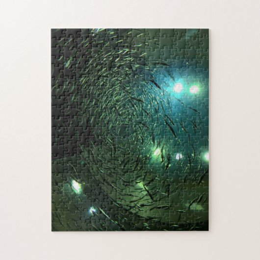 Puzzle Toronto Aquarium Canada. (Vertical)